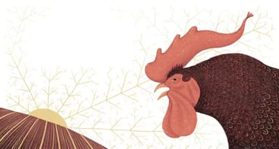 The Little Rooster 13