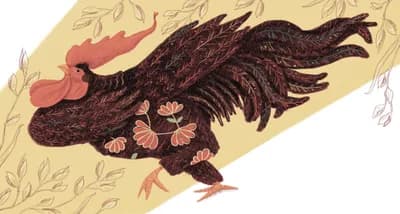 The Little Rooster 14