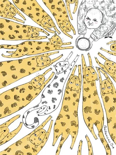 Котики Залужного