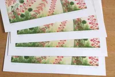 Кульбабове поле, квітневий розмай. Лімітований тираж 4