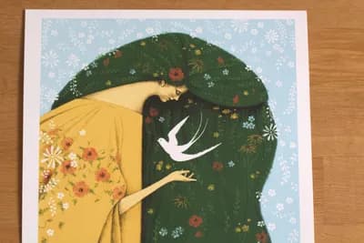 Барвосвіт. Лімітований тираж 3